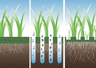 структура почвы для полива растений
