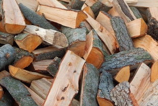 kupit drova kolotye berezovye s