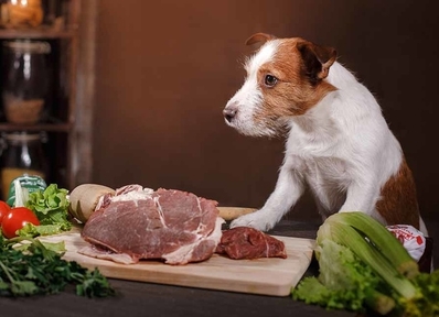 myaso dlya sobak s dostavkoj kupit myaso sobakam rf subprodukty