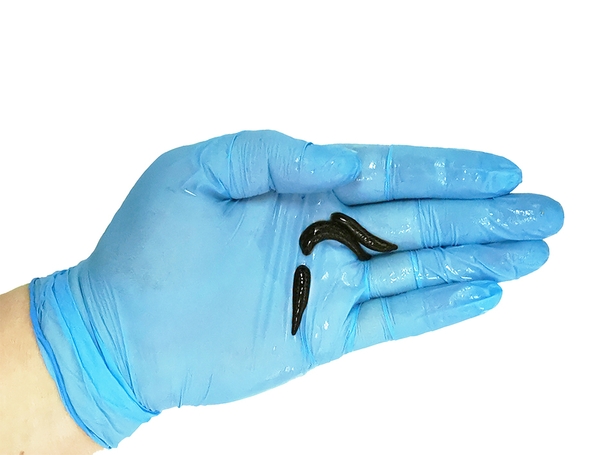 Выгодные Цены на Медицинские Пиявки (от 80 Рублей)