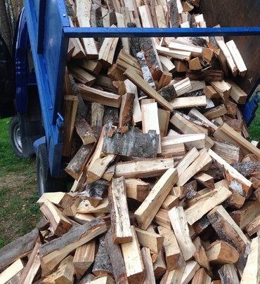 kupit drova kolotye berezovye s