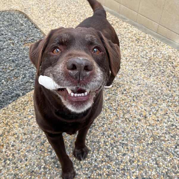 Контроль ХПН Пронефра 180мл