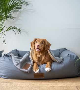 Пронефра купить СПб недорого