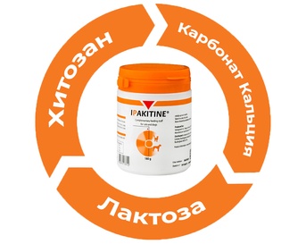 Наглядная схема компонентов в составе Ипакитине