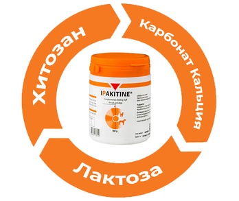 Наглядная схема компонентов в составе Ипакитине