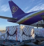 Thai Airways International