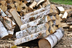 kupit drova kolotye berezovye s