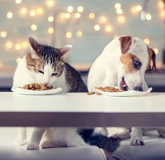 Корма с ХБП для животных | Пронефра 180мл