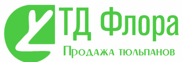 Логотип: ТД Флора продажа тюльпанов