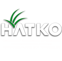 iskusstvennaya trava i gazon dlya