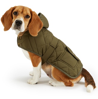 Прогулка с собакой при ХПН: одеваем в межсезонье