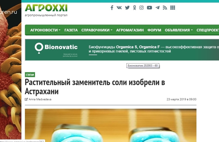 Зеленая Соль. Растительный заменитель соли.